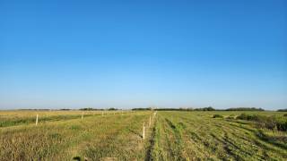 Steven Balzer Demo Site