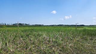 Steven Balzer Demo Site