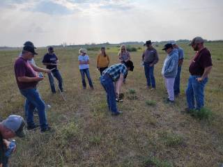 Steven Balzer Demo Site