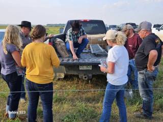 Steven Balzer Demo Site