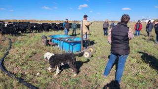 Tom MacDonald Demo Site