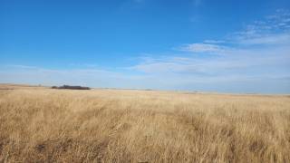 Tom MacDonald Demo Site