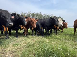 Touchwood Hills Demo Site