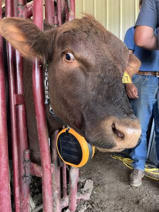 Touchwood Hills Demo Site