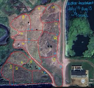 Yellowhead Grazing Demo Site
