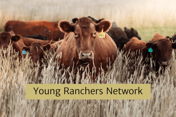 April Young Rancher Meeting