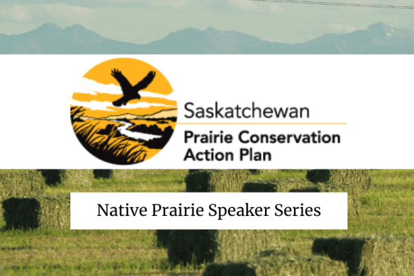 December Native Prairie Speaker Series - The Loggerhead Shrike