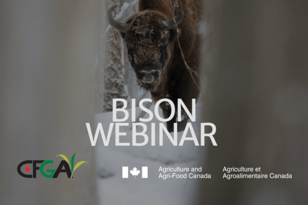Feb 4: Bison Webinar Series