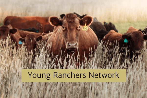 February Young Ranchers Network Meeting