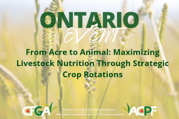Your forage analysis speaks to you, are you listening?
