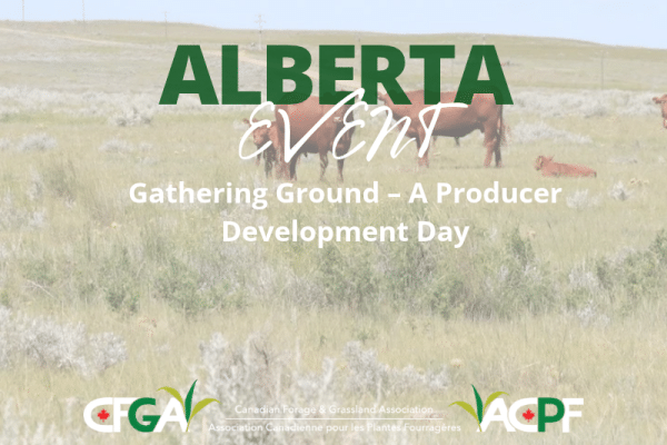 Gathering Ground – A Producer Development Day