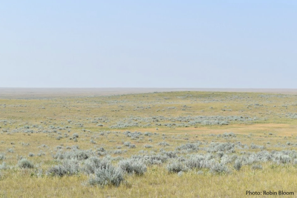 Grassland Learning and Knowledge Hub (GLKH) Project Launch