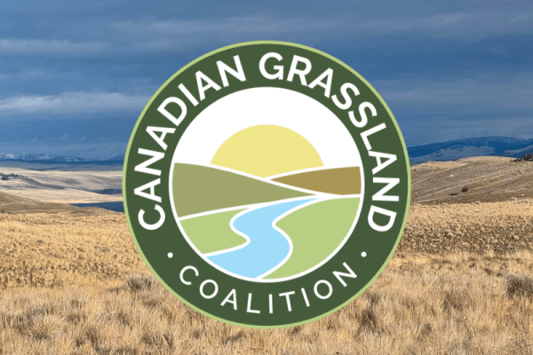 Grasslands in Focus: Learning for the Future