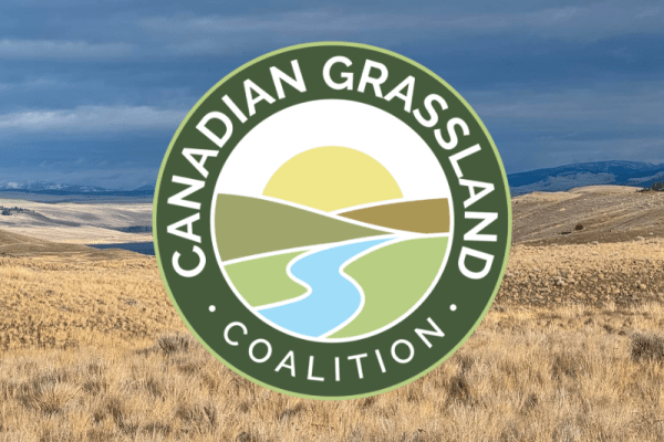 Indigenous-led Grasslands Conservation Initiatives