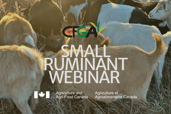 Jan. 13: Small Ruminant Webinar Series: Introduction to Rotational Grazing
