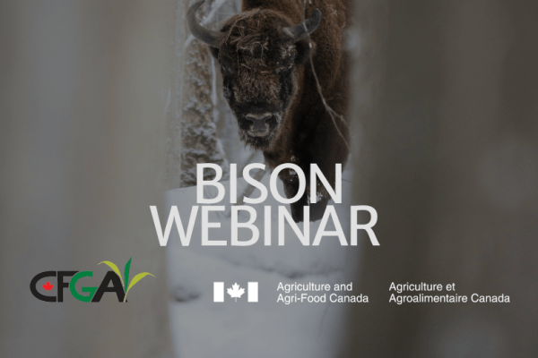 Jan. 14: Bison Webinar Series: Introduction to Rotational Grazing