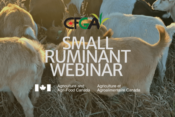 Jan. 20: Small Ruminant Webinar Series: Stocking for Profitability