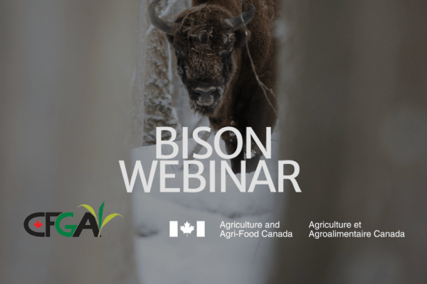 Jan 21: Bison Webinar Series: Stocking for Profitability