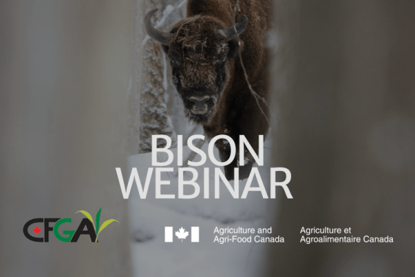 Jan 28: Bison Webinar Series: Designing Your Rotational Grazing System