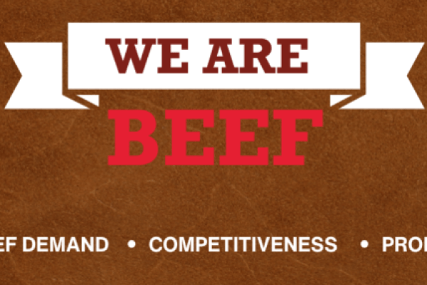 Canadian Beef Cattle Industry Conference
