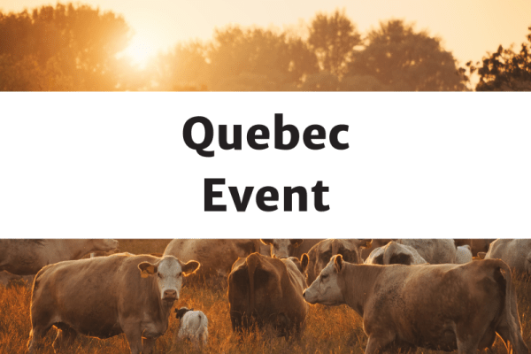 Le bœuf au service de la biodiversité - St. André D&rsquo;Avellin, Quebec