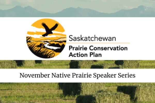November Native Prairie Speaker Series - Growing Canada&rsquo;s Native Seed Industry