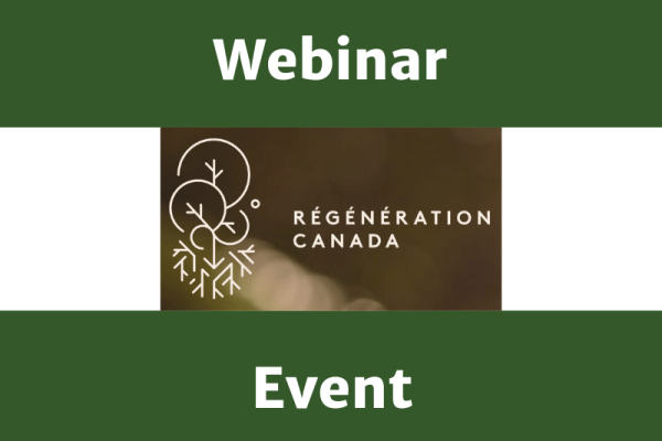 Regenerating the Market: Direct-to-Consumer Models Connecting Farmers and Families