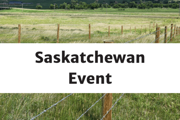 Stewarding the grasslands: Celebrating the International Year of Rangelands