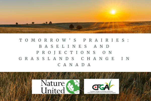 Tomorrow&rsquo;s Prairies: Baselines and Projections on Grasslands Change in Canada