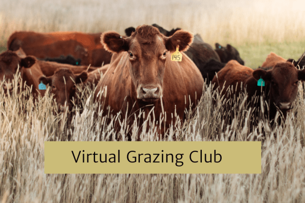 Virtual Grazing Club - Life Long Learners with Lee Sexton ft. Dakota Odgers