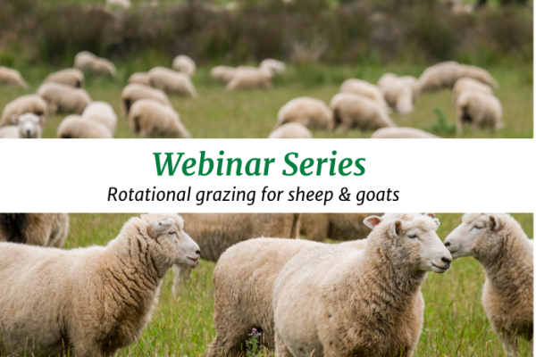 Webinar Series: Planning Your Rotational Grazing System