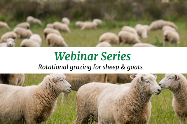 Webinar Series: Practical Implementation and Troubleshooting