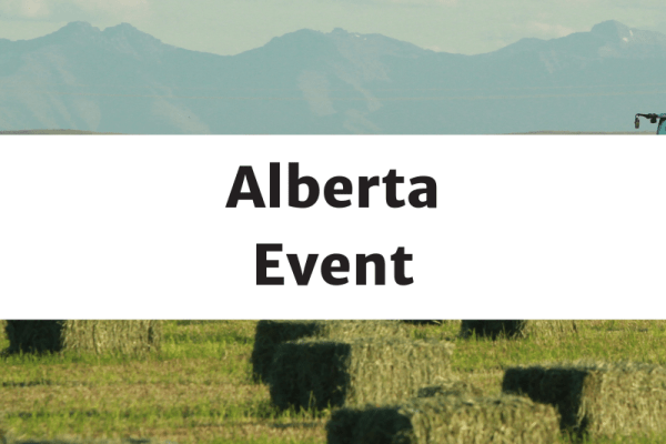 Wintering Cattle in the Peace