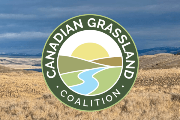 Working Landscapes: Ranching and Grassland Stewardship
