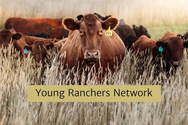 Young Ranchers Network - April Meet up