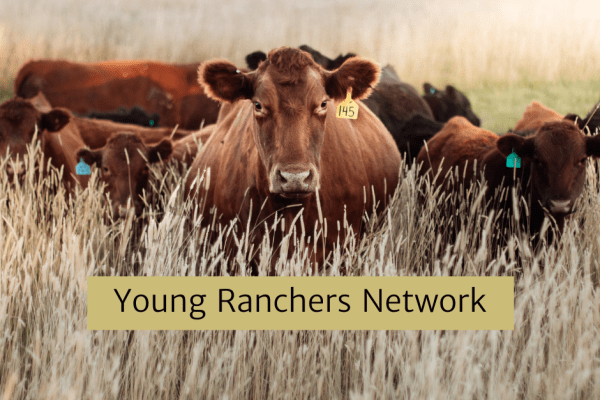 Young Ranchers Network - March Meet Up