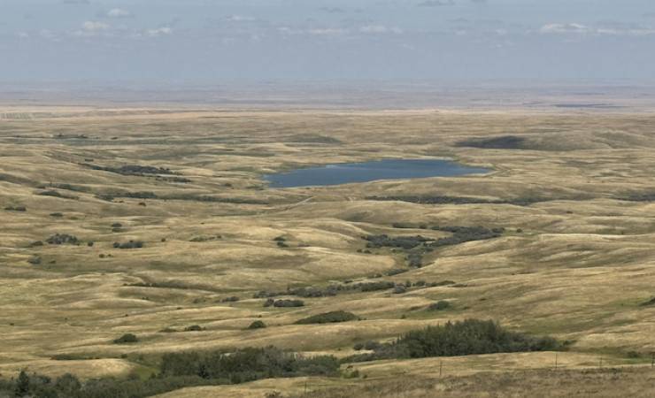 Grassland Learning & Knowledge Hub