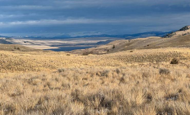 Tomorrow’s Prairies