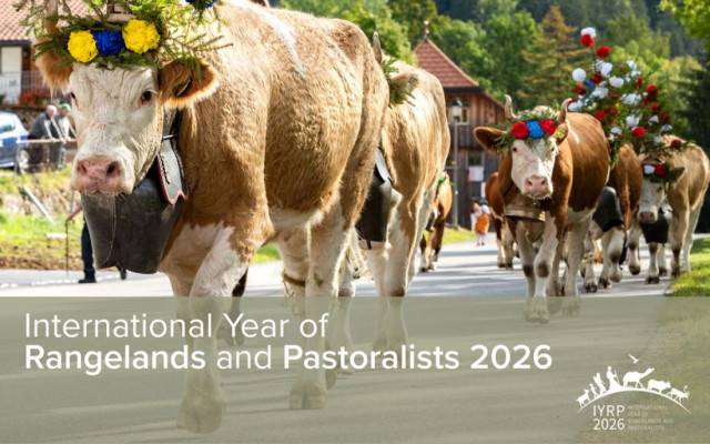 International Year of Rangelands and Pastoralists 2026